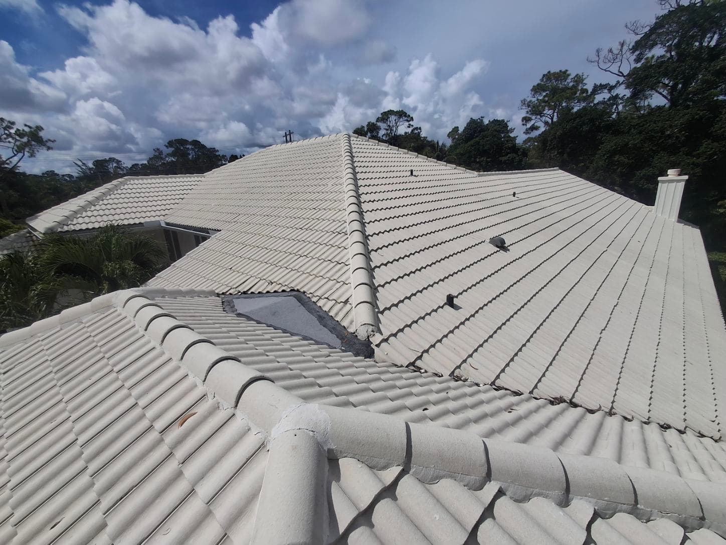 Gallery photos for Coral Springs Double Roll White Tile Excellence: Image #3