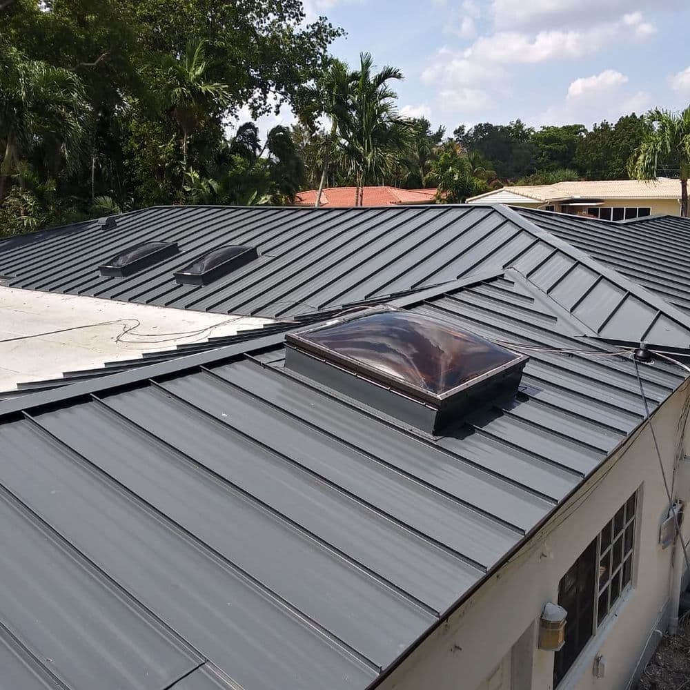 Modern metal roof with skylights on a residential home surrounded by greenery.